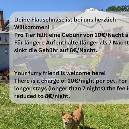 F4 - Urlaubsmagie - Grosse Wohnung Fuer Bis Zu 10 Personen Sebnitz Luaran gambar
