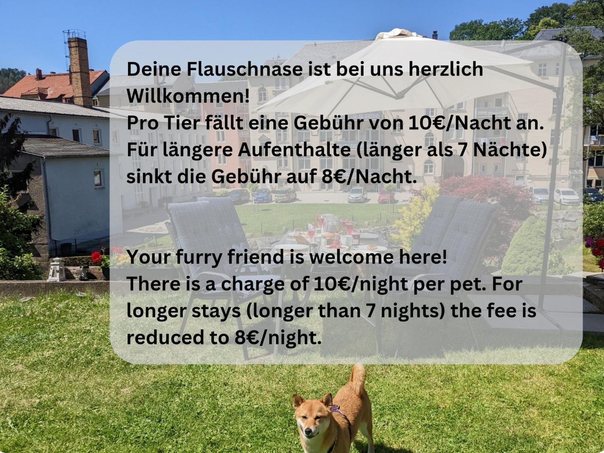 F4 - Urlaubsmagie - Grosse Wohnung Fuer Bis Zu 10 Personen Sebnitz Luaran gambar